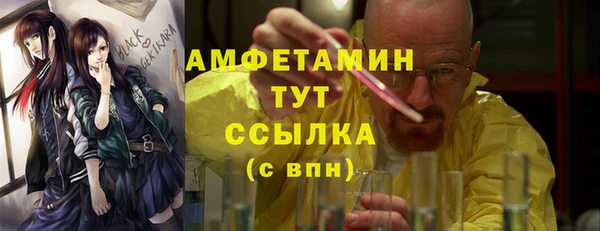 индика Арсеньев