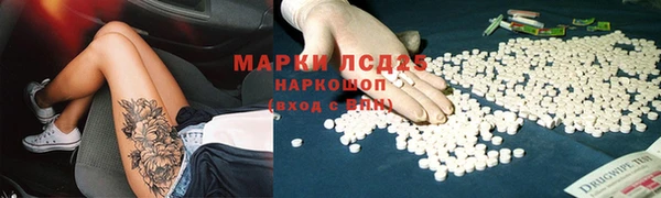 индика Арсеньев