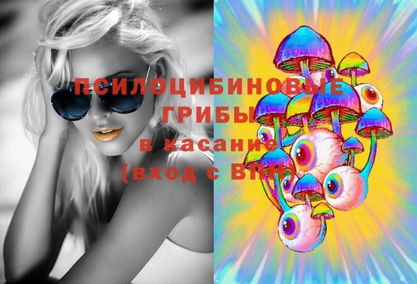 индика Арсеньев