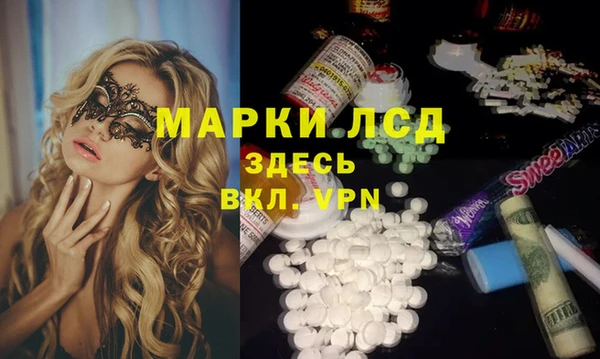 индика Арсеньев