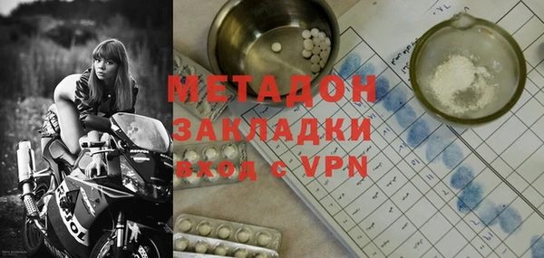 индика Арсеньев