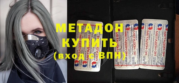 индика Арсеньев