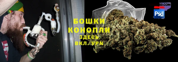 ПСИЛОЦИБИНОВЫЕ ГРИБЫ Армянск