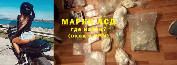 индика Арсеньев