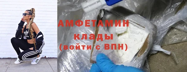 крисы Аркадак